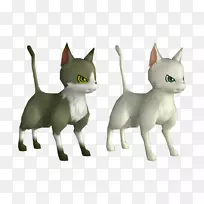 胡须小猫尾猫