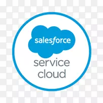 Salesforce营销云Salesforce.com云计算业务-营销