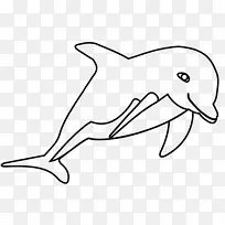 海豚桌面壁纸剪贴画-海豚