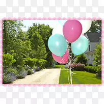 茶会后院派对供应毕业典礼-粉红色气球