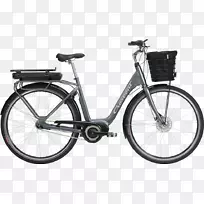 瑞典Monark新月电动自行车-自行车