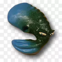 绿松石生物-蓝鱿鱼