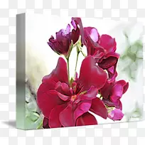 花卉设计剪花，百合花，印加花束-花束