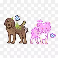 小狗养猫爪-波尔卡犬
