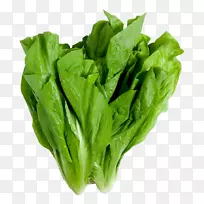 包叶生菜叶菜生菜冰山生菜-蔬菜