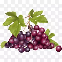 红醋栗，普通葡萄，葡萄酒，水果-葡萄