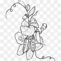 花卉设计切花画视觉艺术.甜豌豆