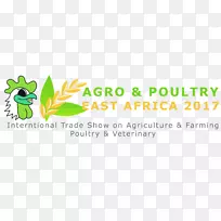 农业家禽养殖东非国际贸易注射鸡肉
