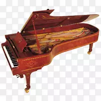法齐奥利大钢琴，电动钢琴手，钢琴-钢琴