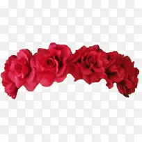 花园玫瑰，红色花环，花冠