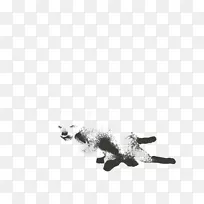 犬科犬白色尾巴字体