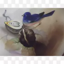 钴蓝羽喙