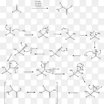 绘制白点角Strecker氨基酸合成角