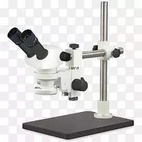 立体显微镜螳螂精光学显微镜物镜