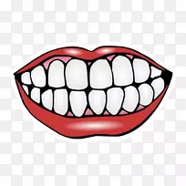 人类牙齿微笑夹艺术-前牙龈