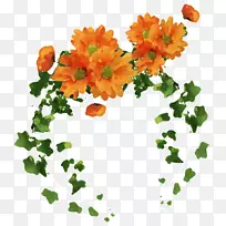 花卉设计橙色切花波士顿常春藤橙