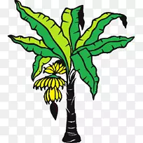 香蕉叶着色书绘图-香蕉树