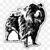 周狮小狗约克郡猎犬金毛猎犬-狮子