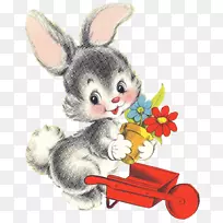 复活节兔子画兔子我的第一只兔子