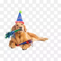 生日蛋糕，达马提亚狗小狗派对-生日狗