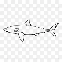 大白鲨画鱼灯笼形剪贴画-鱼