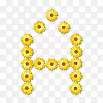 字母表花卉设计字母u-字母表花