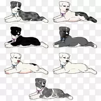 猫小狗繁殖带猫