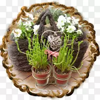 花盆-视光耳鸣