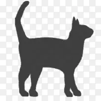 黑猫家养短毛猫须爪猫