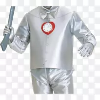 铁皮人稻草人懦弱的狮子奥兹服装的巫师