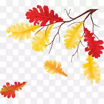 秋叶，树木，剪贴画.秋叶