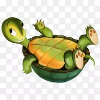 海龟动物剪贴画-海龟