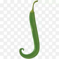 英文字母表植物字母-j