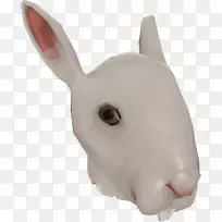 兔鼻