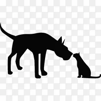 胡须，拳击手，大狗，宠物猫