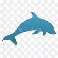 普通宽吻海豚图库溪粗齿海豚海洋生物.海豚