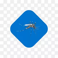蚊虫线微软天青-蚊子