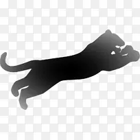黑猫狗豹犬