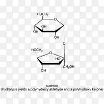 糖苷键蔗糖二糖脱水反应化学