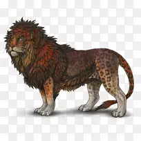 猫科狮子猫科虎-狮子