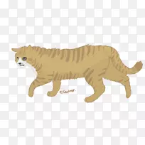 野生动物羽毛尾巴陆生动物-猫