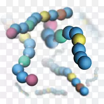 液相色谱-质谱串联质谱胰蛋白酶肽
