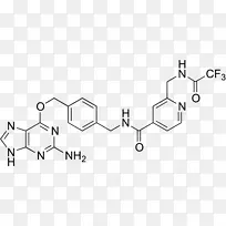 硼替佐米erlotinib蛋白酶体抑制剂化学物质细胞