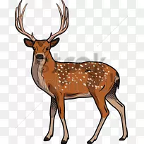 麋鹿剪贴画-鹿插图
