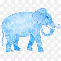 印度象非洲象大象野生动物帖子-它的笔记-金丝雀