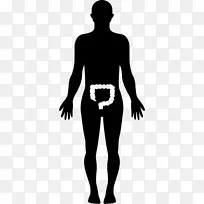 人体女性体型智人体型