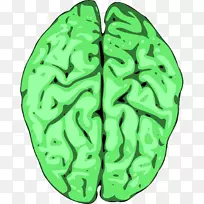 人脑电脑图标剪贴画