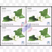 印度尼西亚东南亚国家协会阿拉伯茉莉花nelumbo nucifera马来西亚-Jasminum sambac