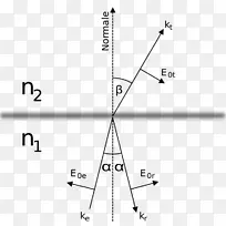 角弹性碰撞菲涅耳方程波反射角