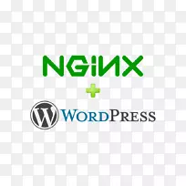WordPress nginx内容管理系统博客-孟加拉国板球队